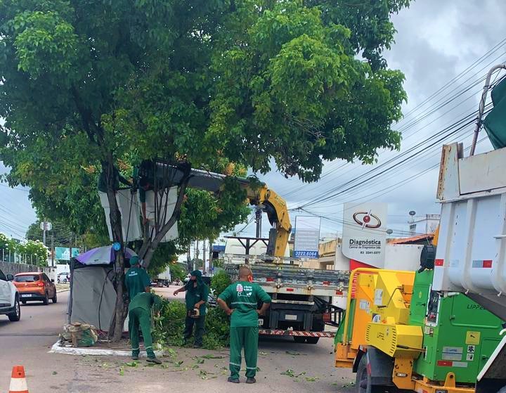 Prefeitura Realiza Poda De Rvores Na Avenida Camilo De Holanda