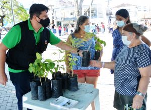 Semana Municipal de Árvore começa nesta terça (18) - PREFEITURA