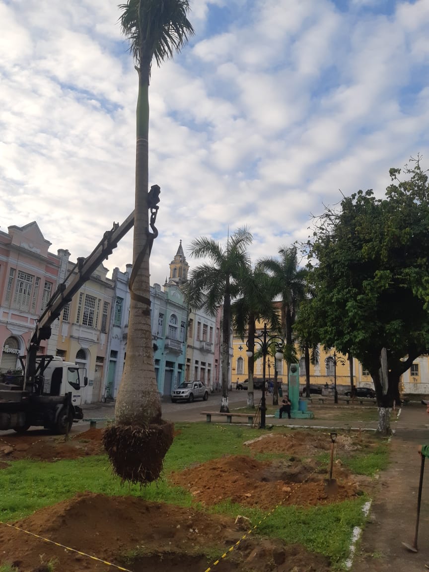 Prefeitura intensifica ações de zeladoria e de revitalização na Praça da Sé  — Prefeitura
