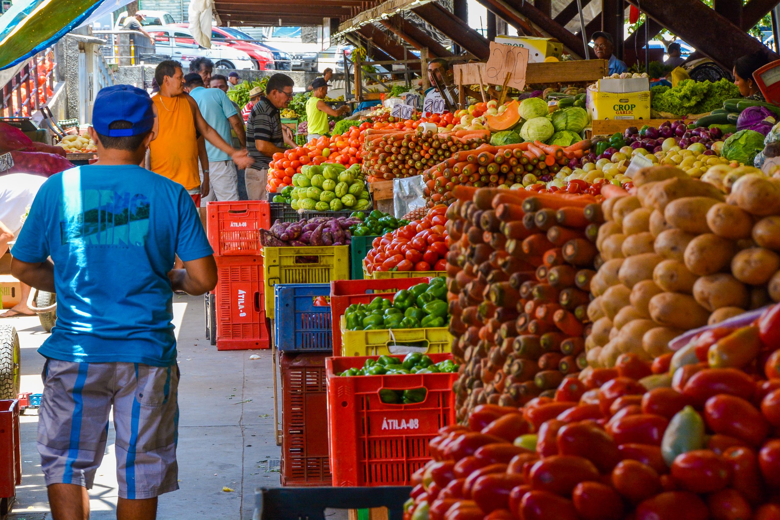 Feira La Movida de economia criativa retorna ao Shopping João Pessoa nos  próximos dias - ABRASCE