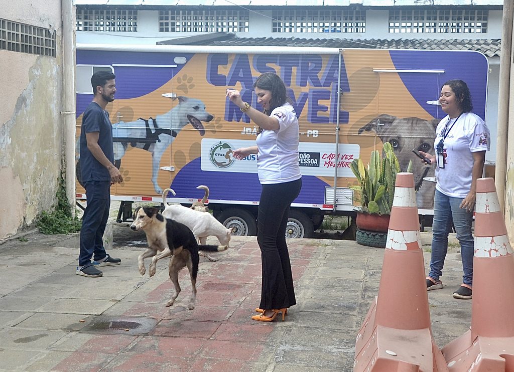 Natal dos Animais promove adoção responsável de animais abandonados