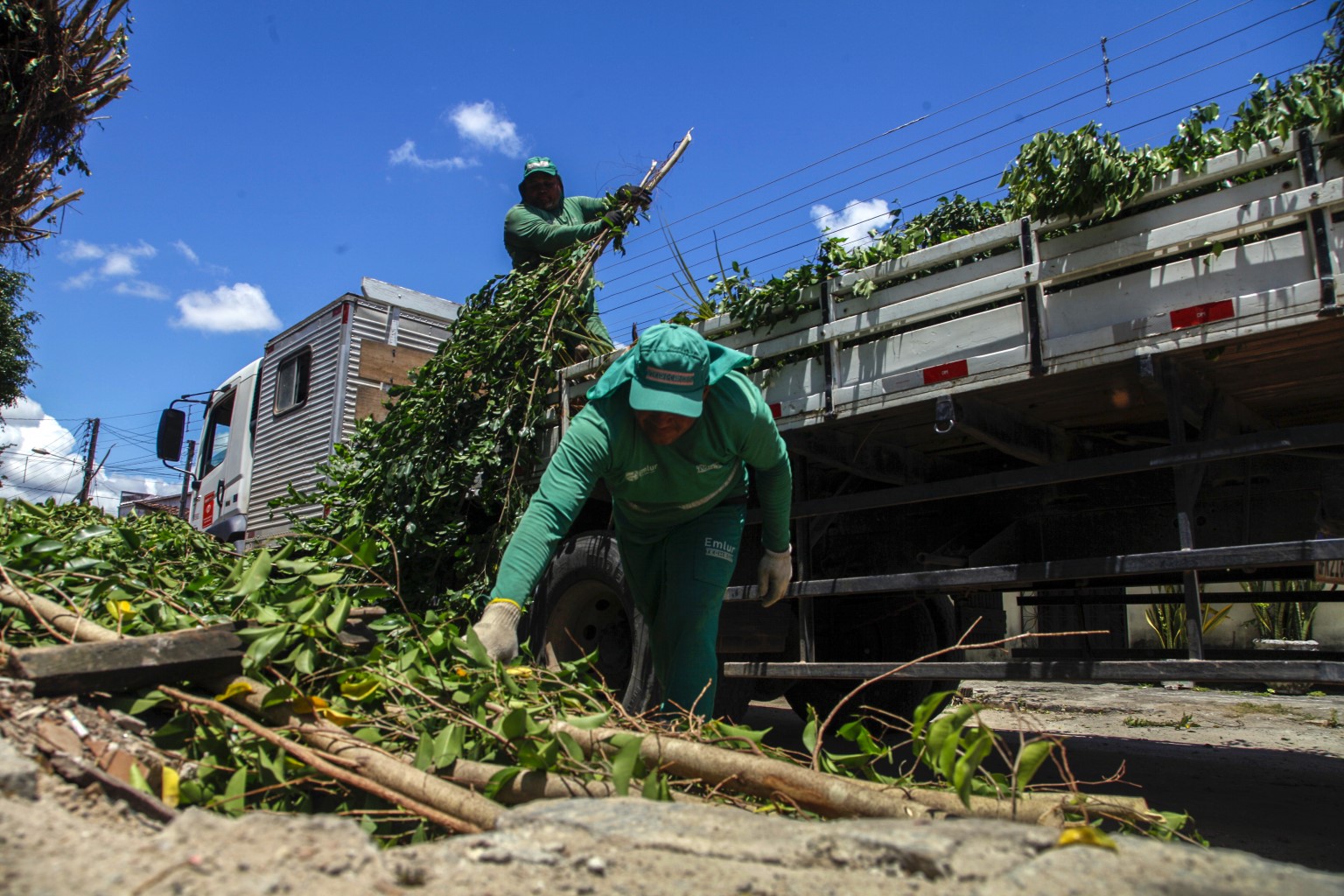 Emlur recolhe resíduos de poda de árvores em 11 bairros nesta terça-feira