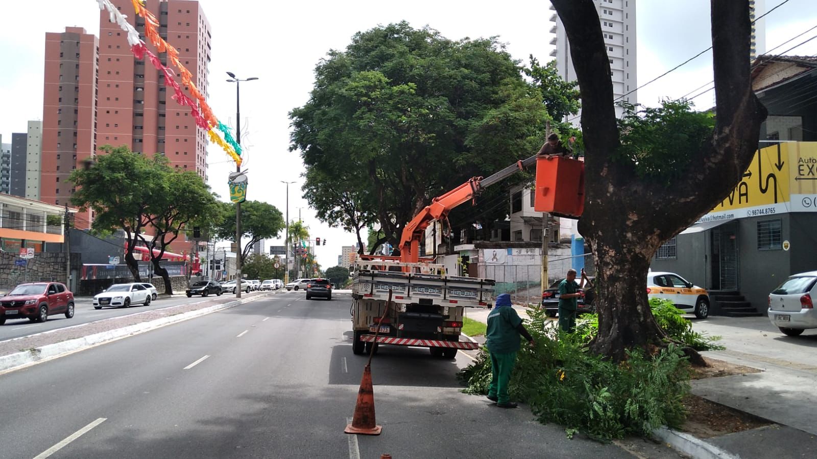 Sedurb realiza poda de árvores em ruas e avenidas onde terão desfiles de blocos