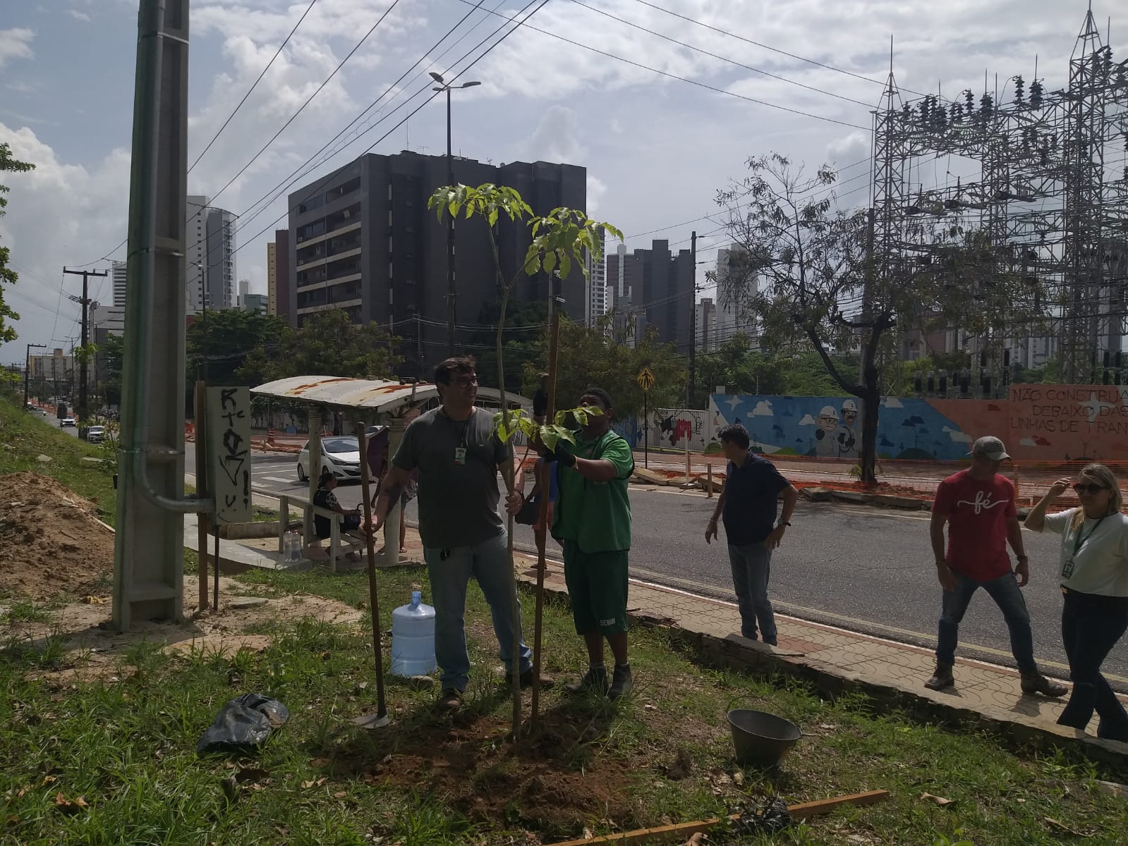 Técnicos da Semam fazem replantio de árvores nativas na Avenida Ruy Carneiro