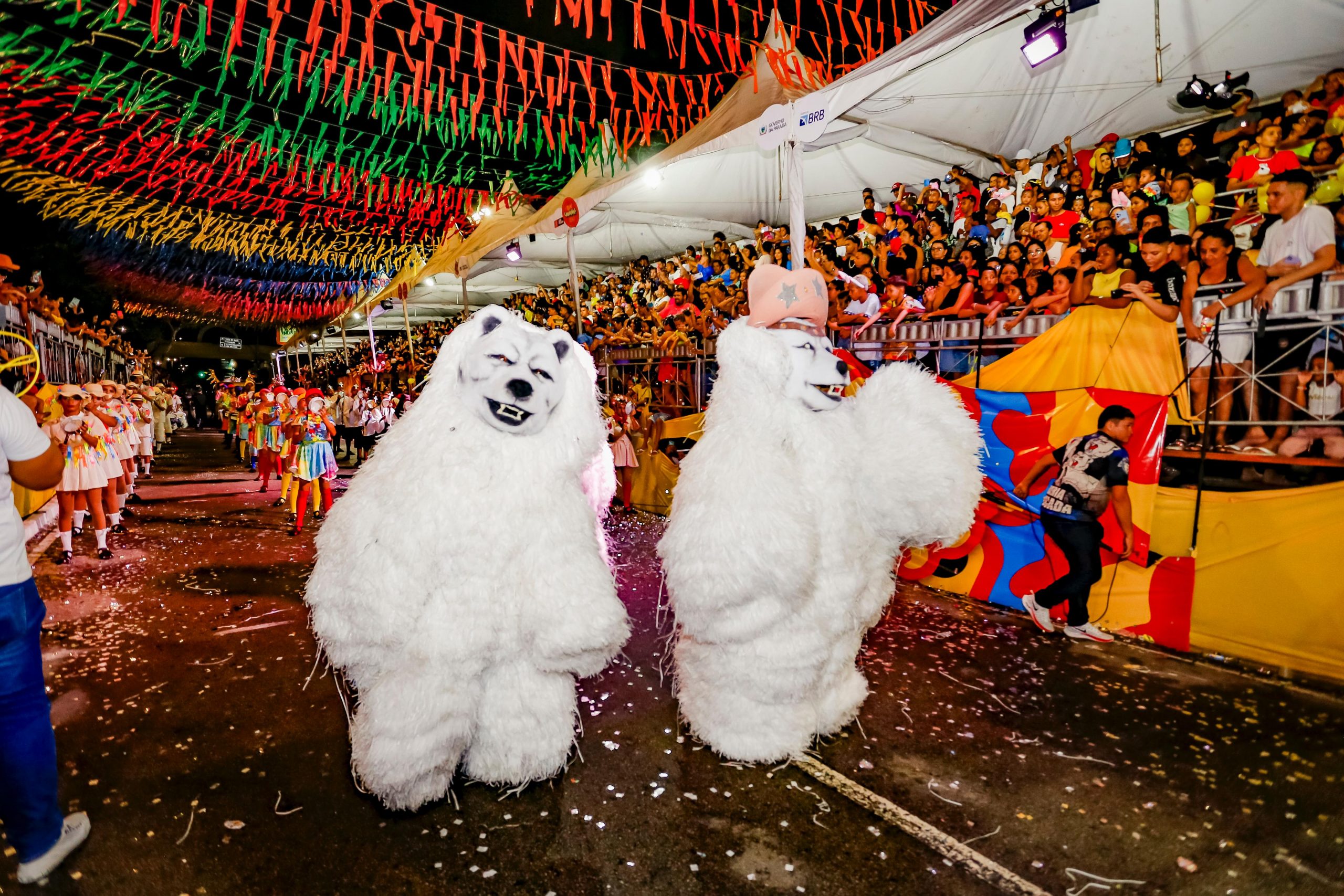 Apresentações das ala ursas arrancam aplausos do público na Duarte da Silveira