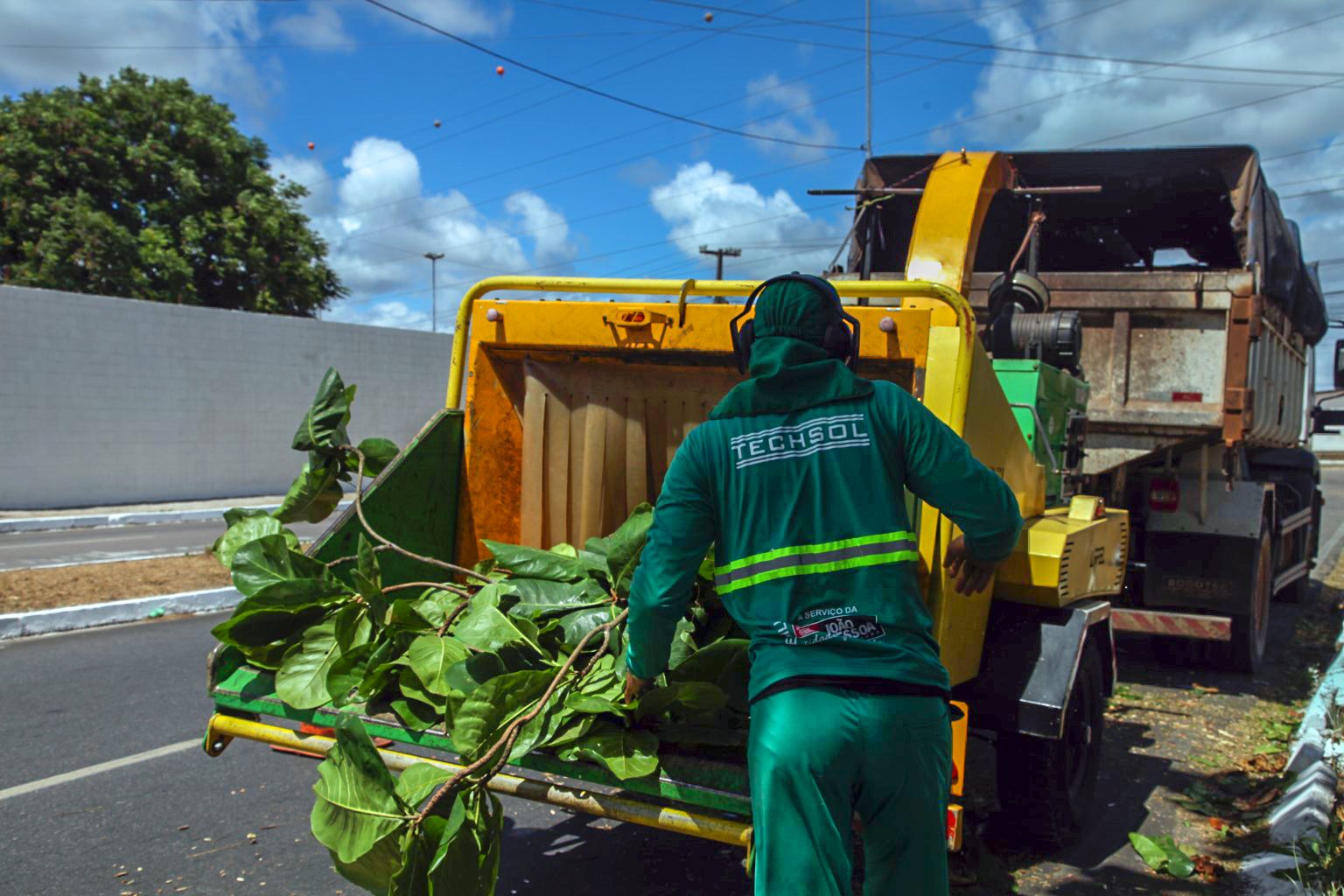Emlur recolhe resíduos de poda de árvores em 18 bairros nesta quarta-feira