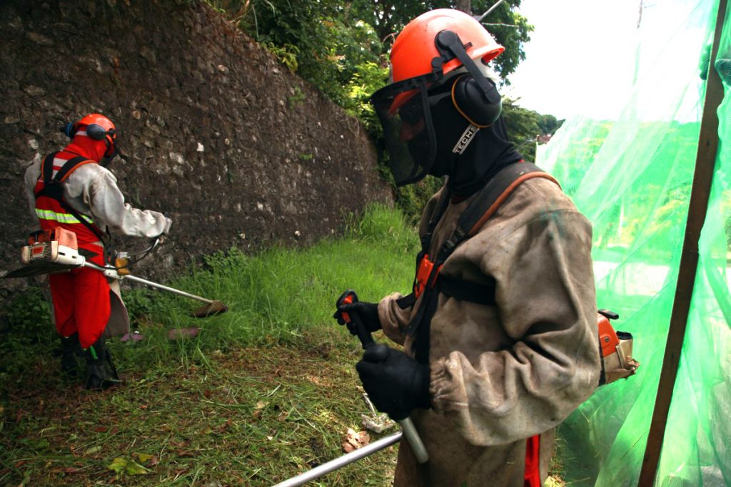 Serviços de roçagem e capinação atendem a oito bairros nesta quinta-feira